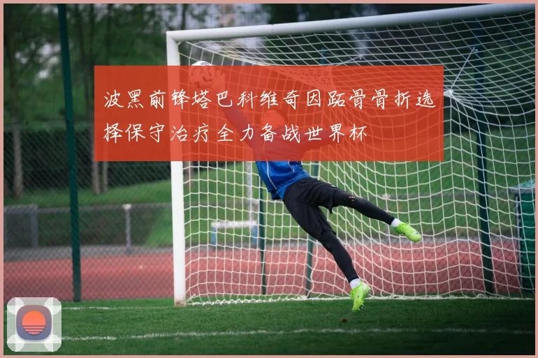 波黑前锋塔巴科维奇因跖骨骨折选择保守治疗全力备战世界杯