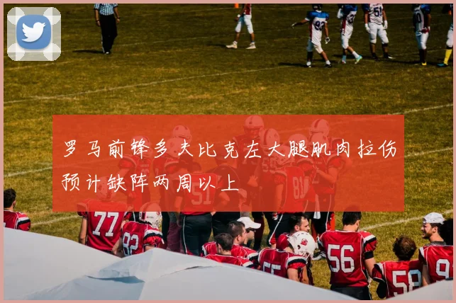 罗马前锋多夫比克左大腿肌肉拉伤预计缺阵两周以上