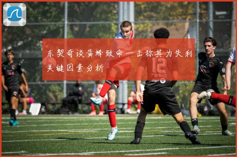 东契奇谈黄蜂致命一击称其为失利关键因素分析